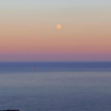 Apartmán Alma De Mar Benidorm Exteriér fotografie